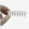 凍結乾燥核酸検出キット（蛍光PCR法）